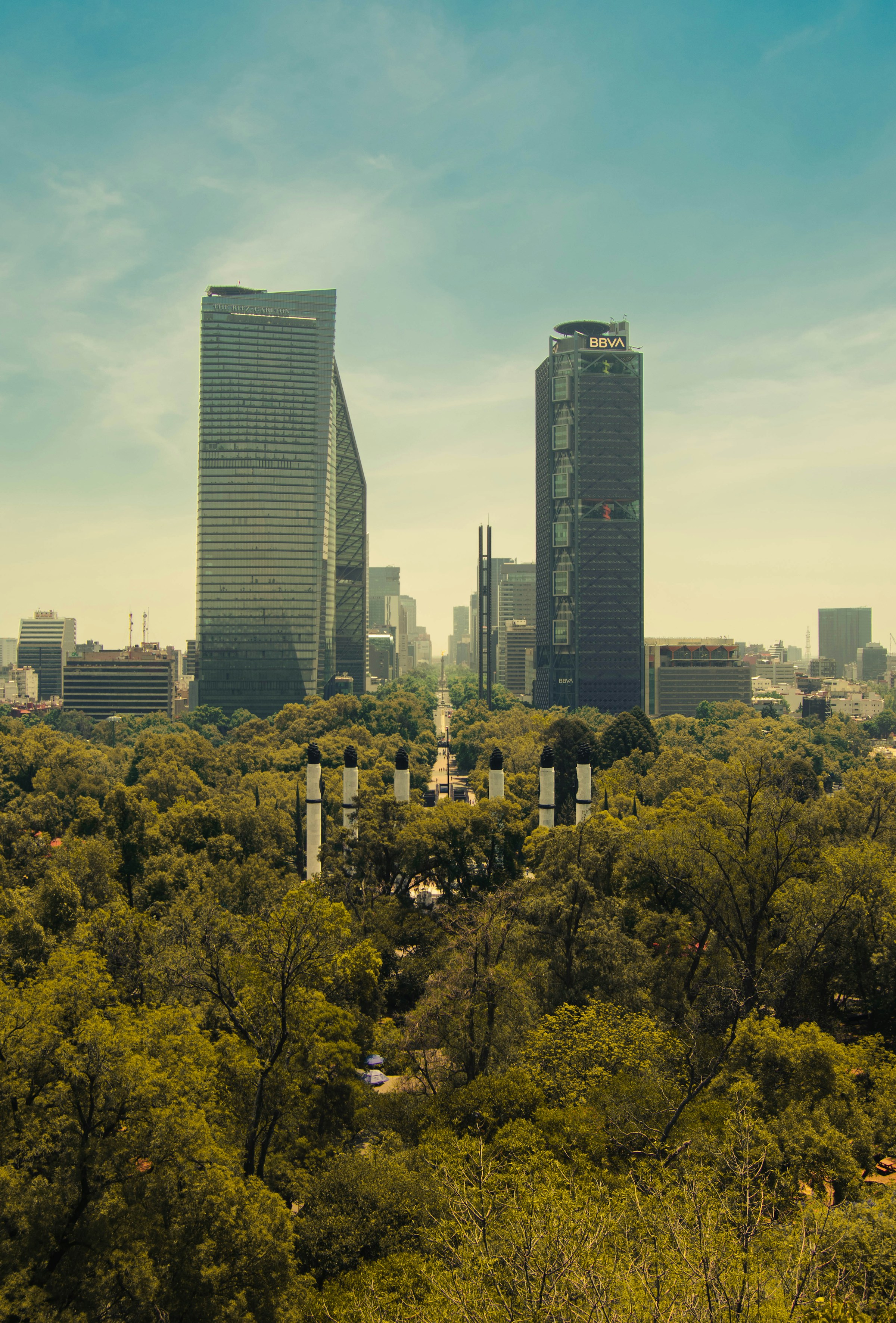 Two towers on Paseo de la Reforma rising above the dense green canopy of Chapultepec park in Mexico City